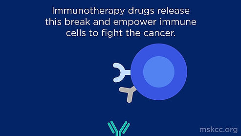 Immunotherapy: How It Works